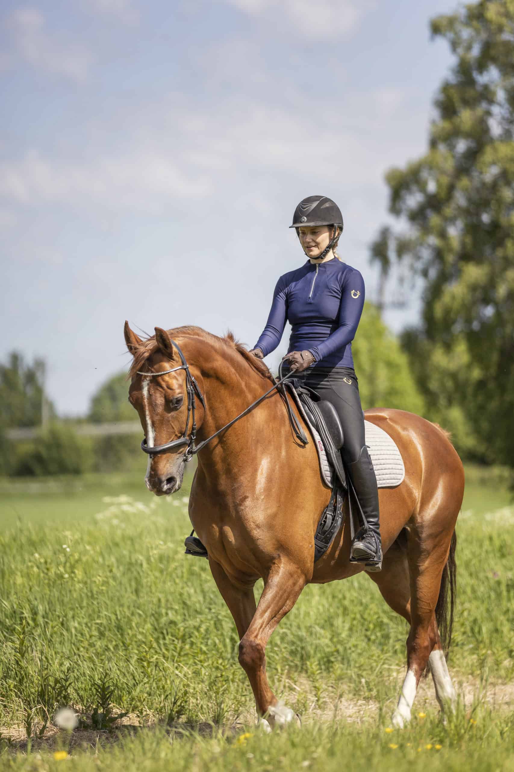 bedrift hest fotografering ama6871