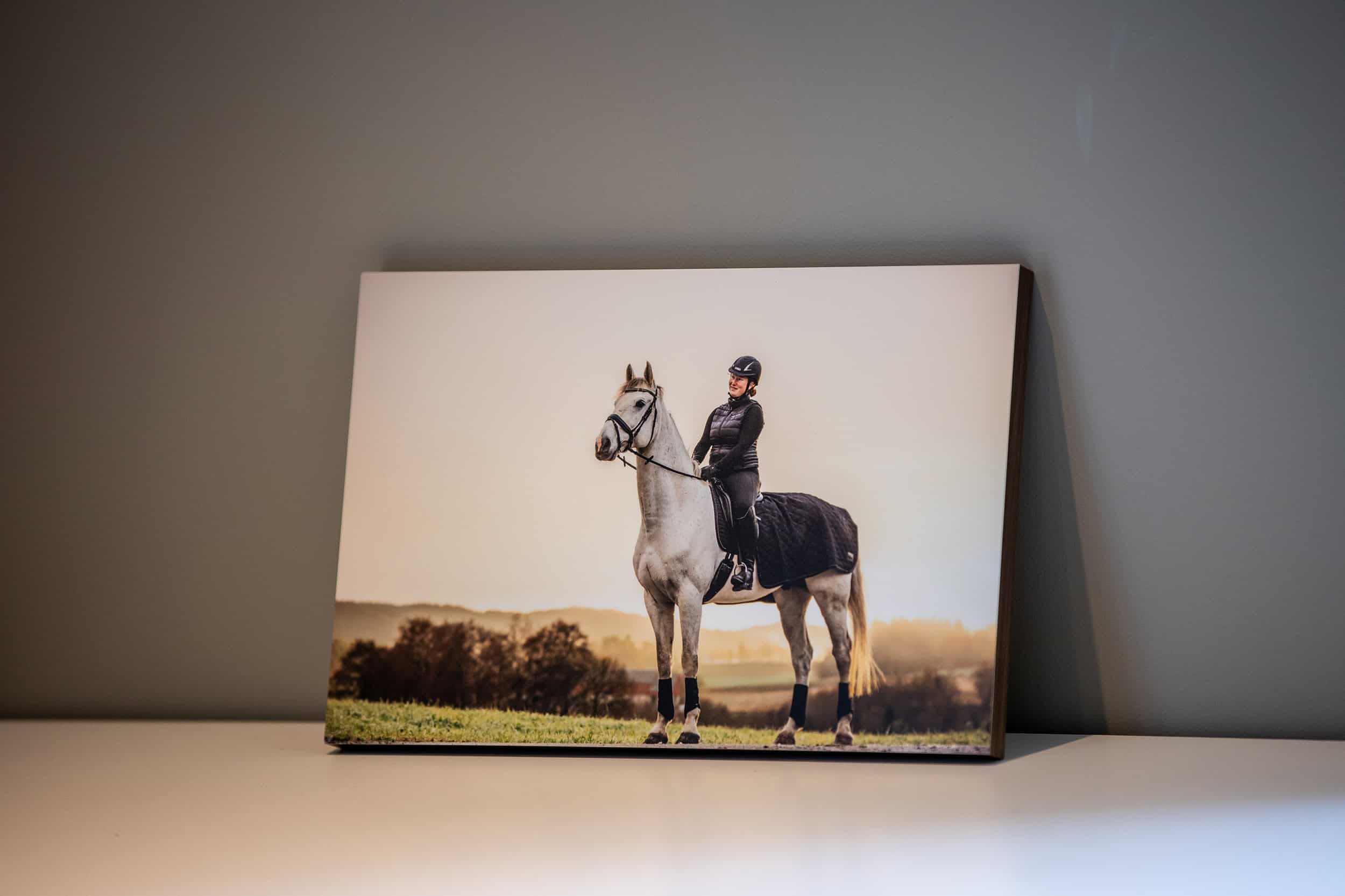 fotograf gjerstad bildeplate